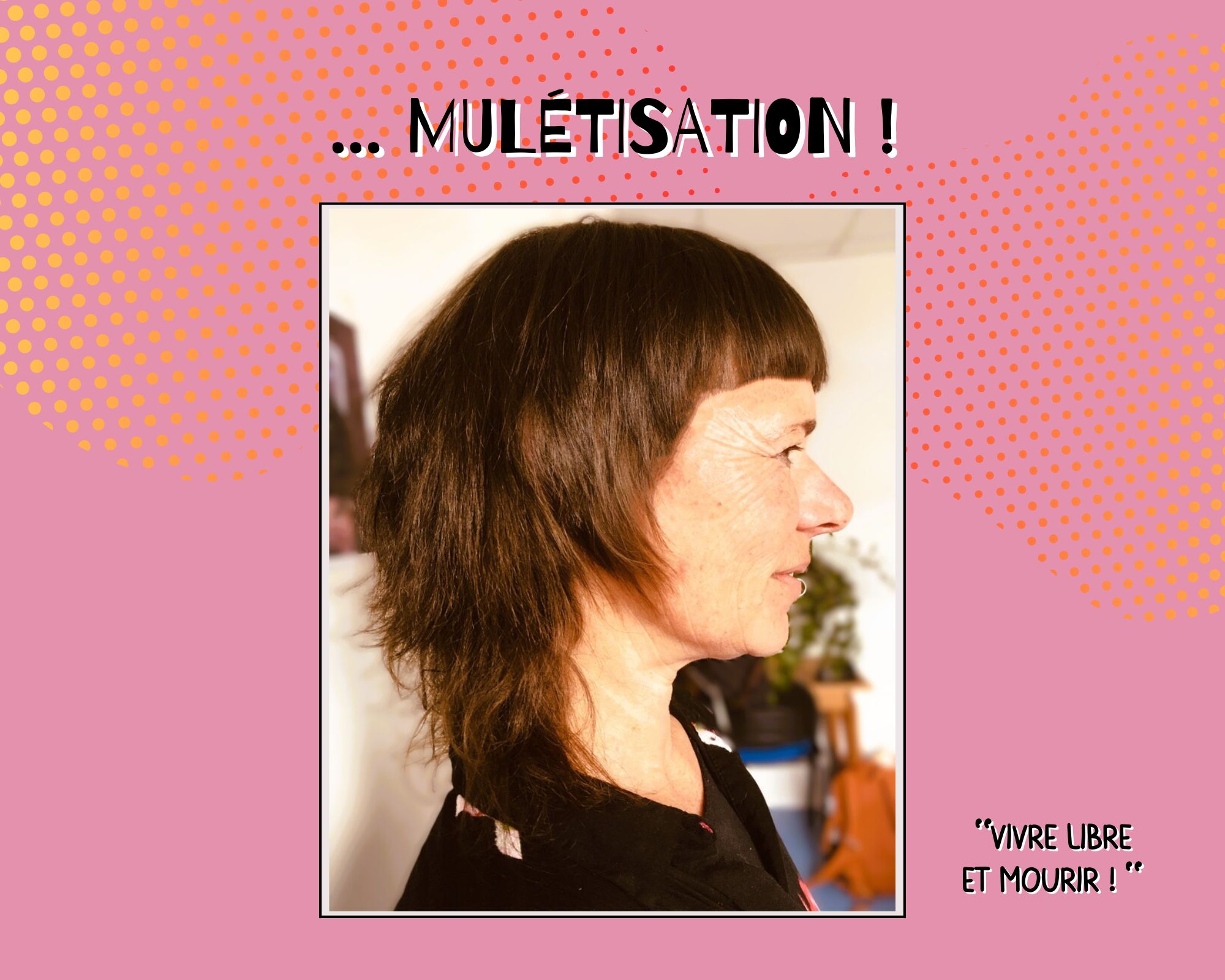 BD Mulétisation-celine atelier coiffure- rennes- adopte un mulet